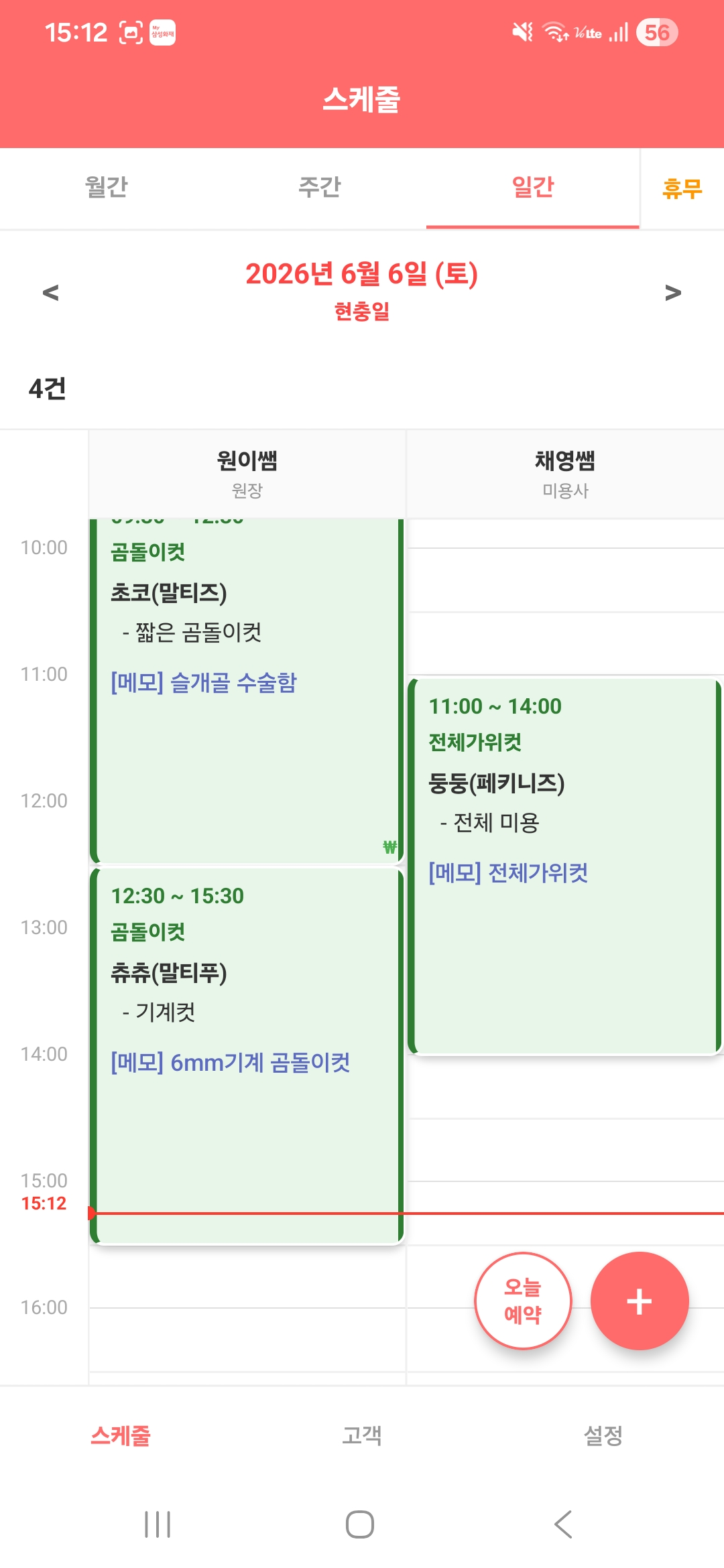 일간 스케줄