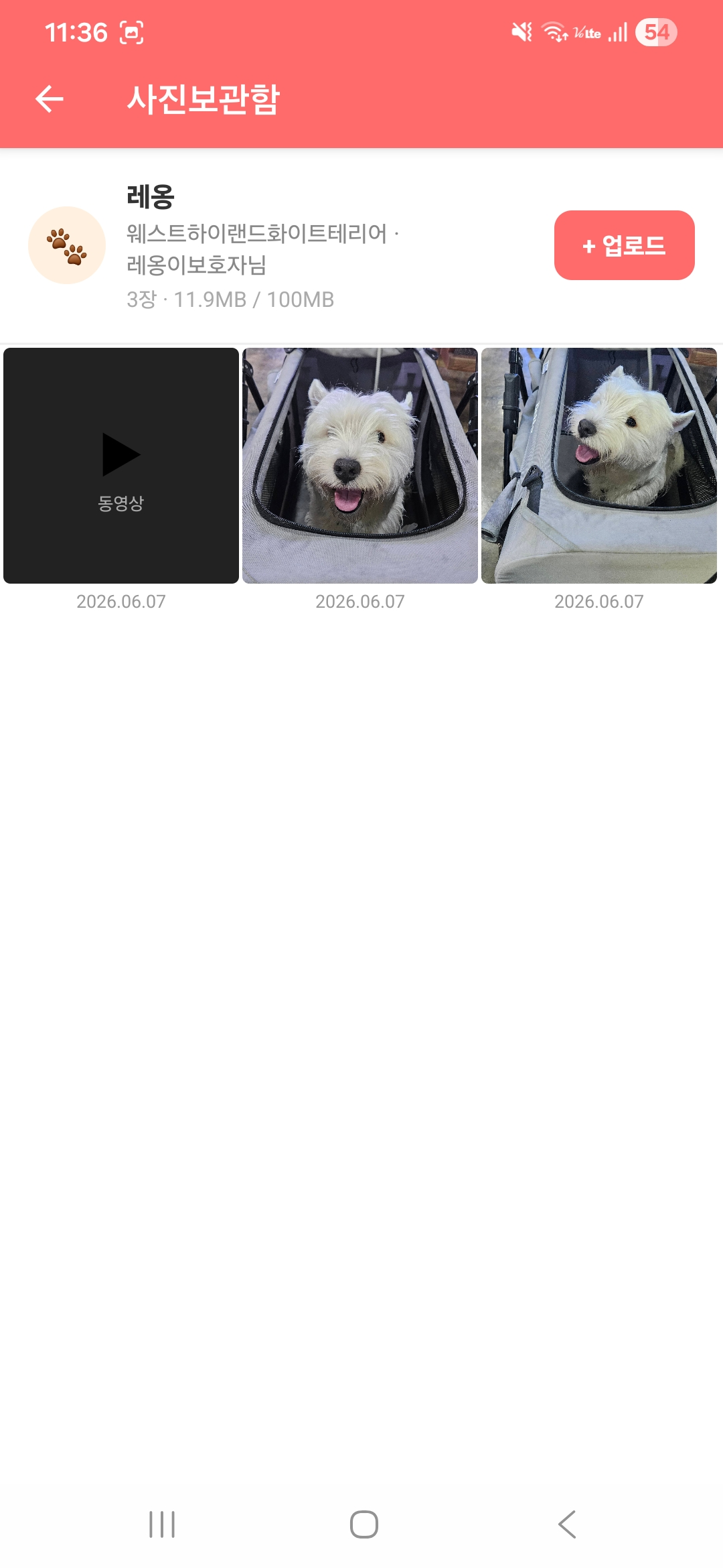 사진보관함